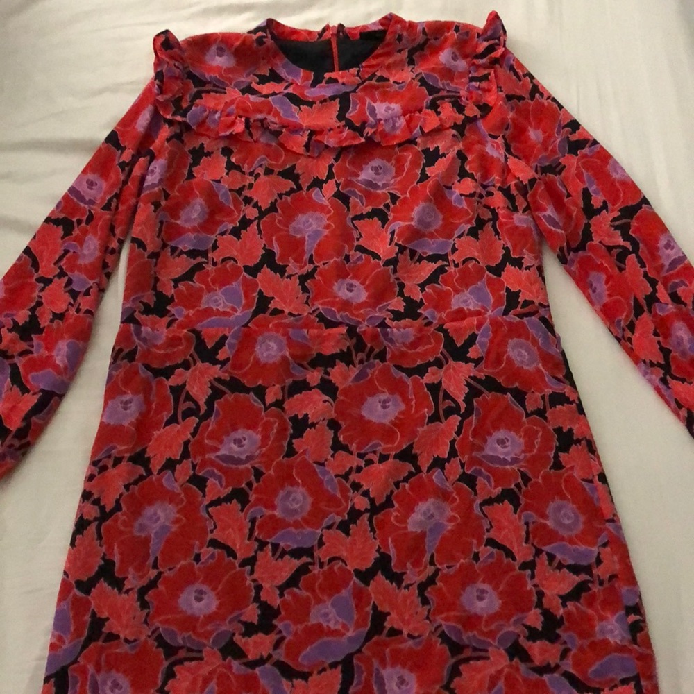 Who what wear long sleeve ruffle dress
